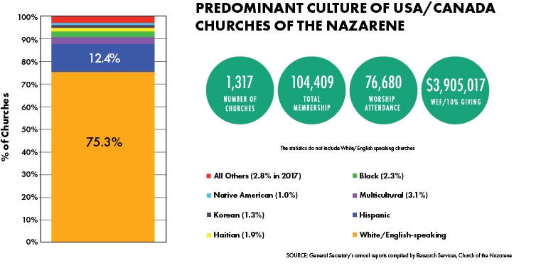 MulticulturalWebGraphic B