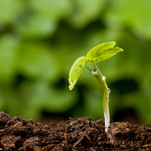 a chute sprouting up from the ground