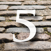 step 5