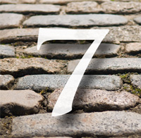 step 7